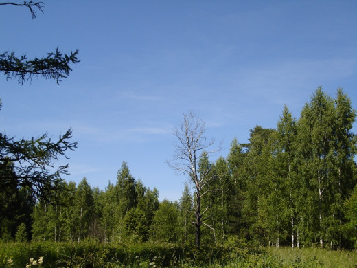 29843 (a): :1024x768